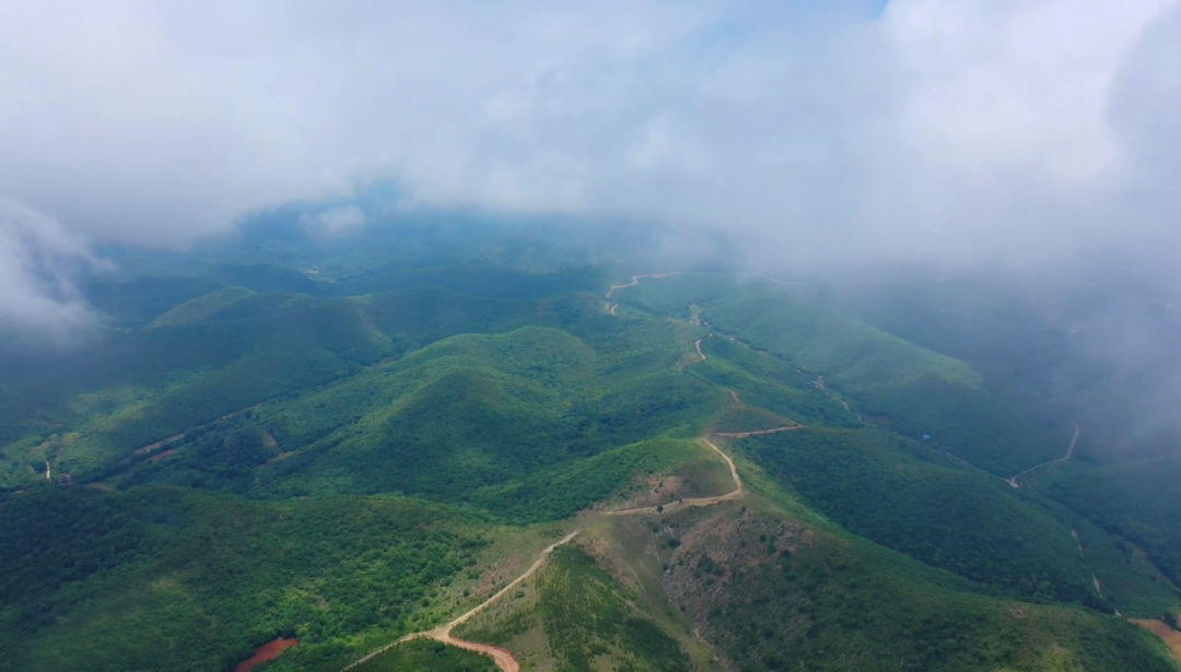 微信图片_20231012103142.png 图片